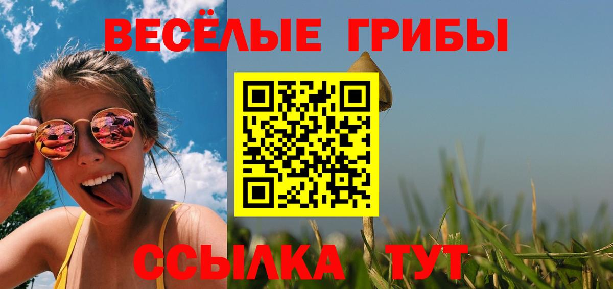сколько стоит  Псилоцибиновые грибы GOLDEN TEACHER  Вход с VPN  Ртищево  Псилоцибиновые грибы Psilocybe 